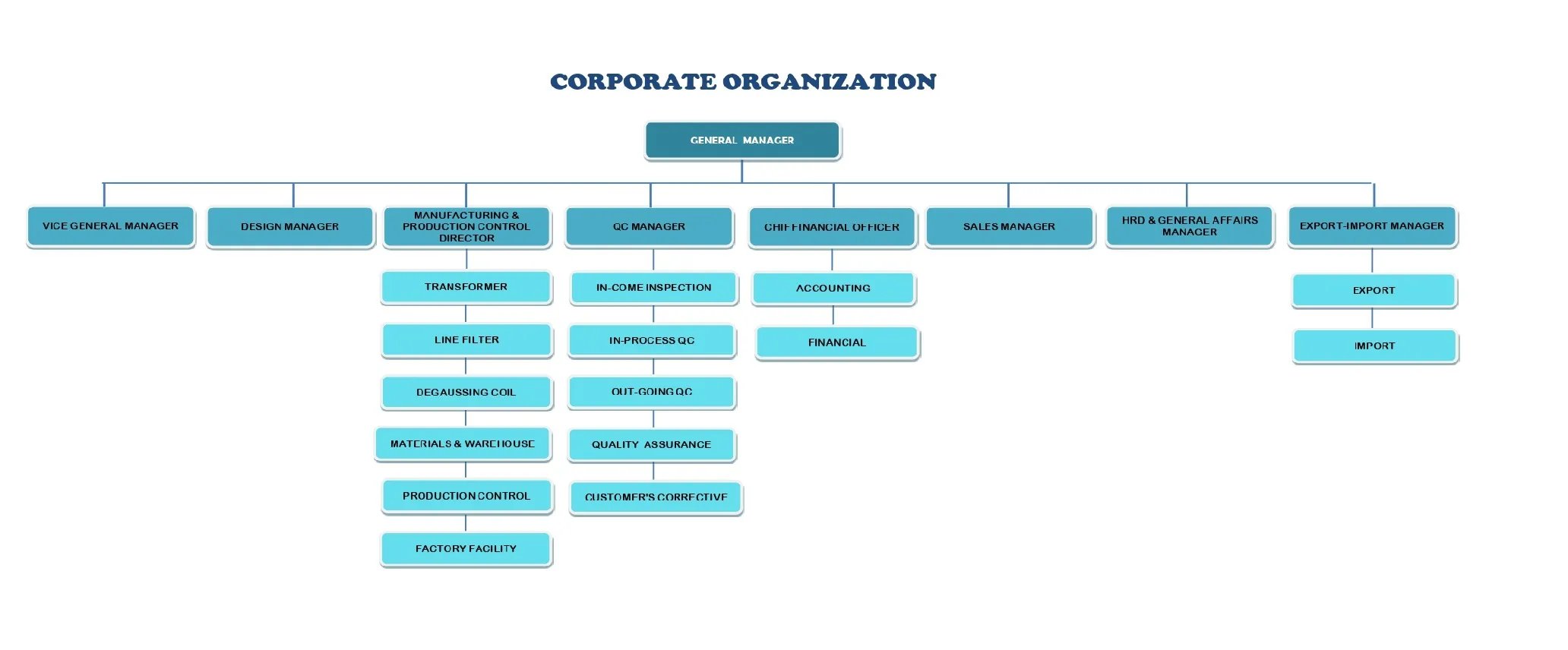 Structure Organization | About Us | PT Cipta Coilindo